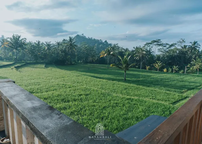 Bed & Breakfast The Paddies #delux Payangan